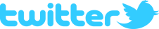 Twitter logo 2011